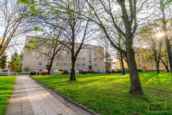 Prodej investičního bytu 2+1 - 13