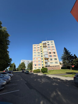 Pronájem bytu 1+kk 25m2, sídliště Vajgar 591/III - 13