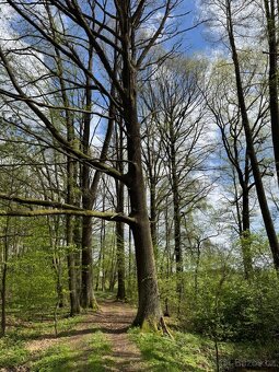 Prodám pozemky v katastrálním území Mníšek - 13