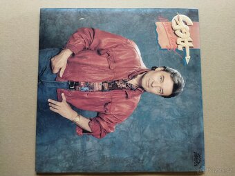 Karel GOTT, vinyl, LP - 13