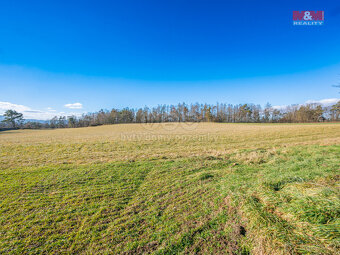Prodej louky, 11767 m², Benešov - 13