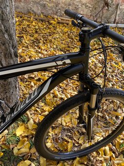 Kolo Specialized 29 - 13