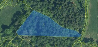 Prodám lesní pozemky v k.ú. Přeštěnice - 13