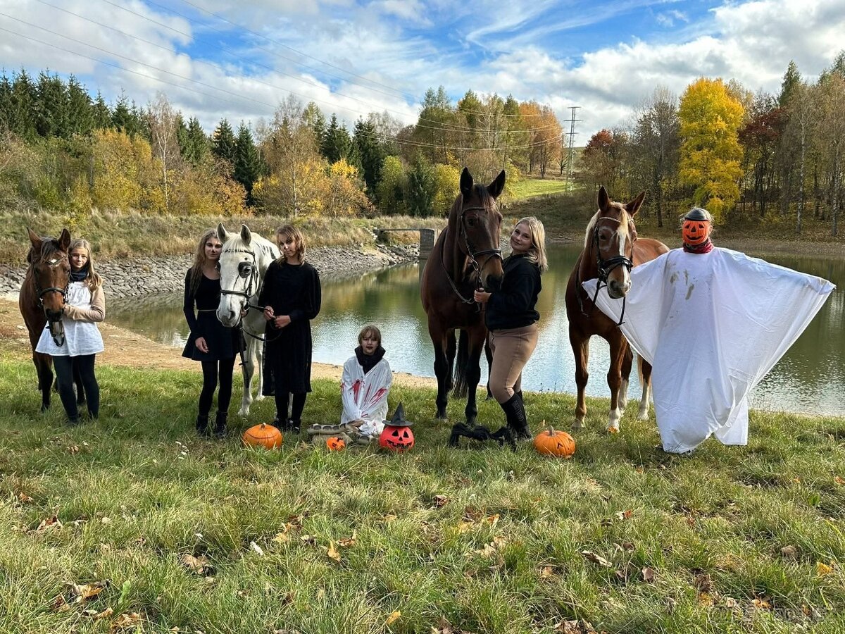 Dva koně pro začátečníky - 14