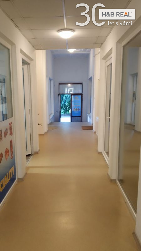 Pron. rek. kom. prostoru (obchod, jiné aktivity,... - 14