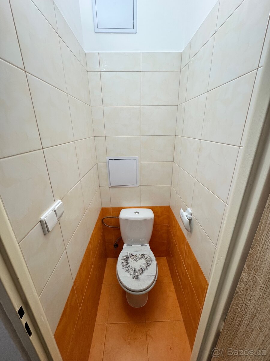 Nabízím pronájem bytu 2+1 Nejdek - 14