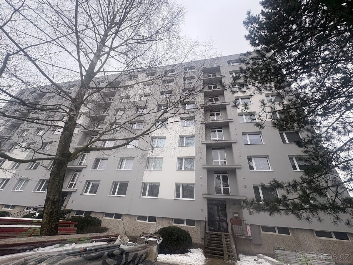 Družstevní byt 2+1 v Nové Pace - 14