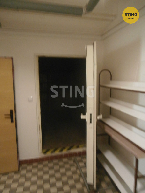 Pronájem obchodu 240m2., 135504 - 14