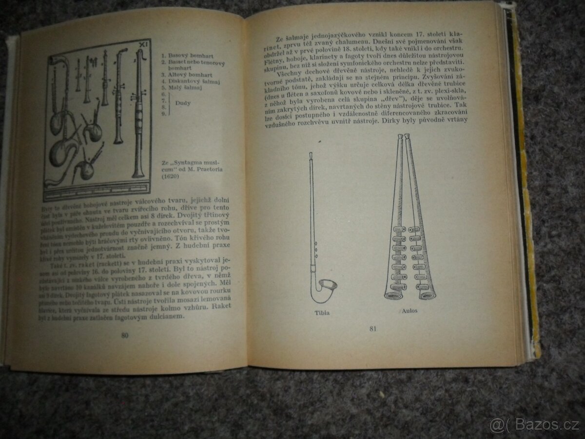 Mladí muzikanti, hudební ABC a nástroje, flétna, kytara - 14