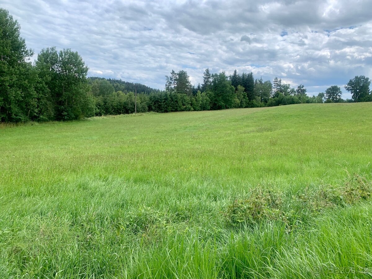 Prodej bývalého mlýna u Malše - 14