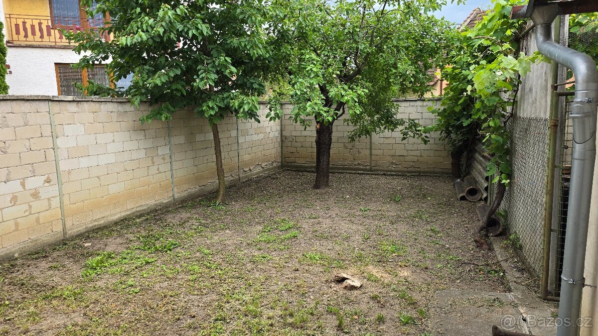 Prodej rodinného domu 210 m² Louka (Hodonín) - 14