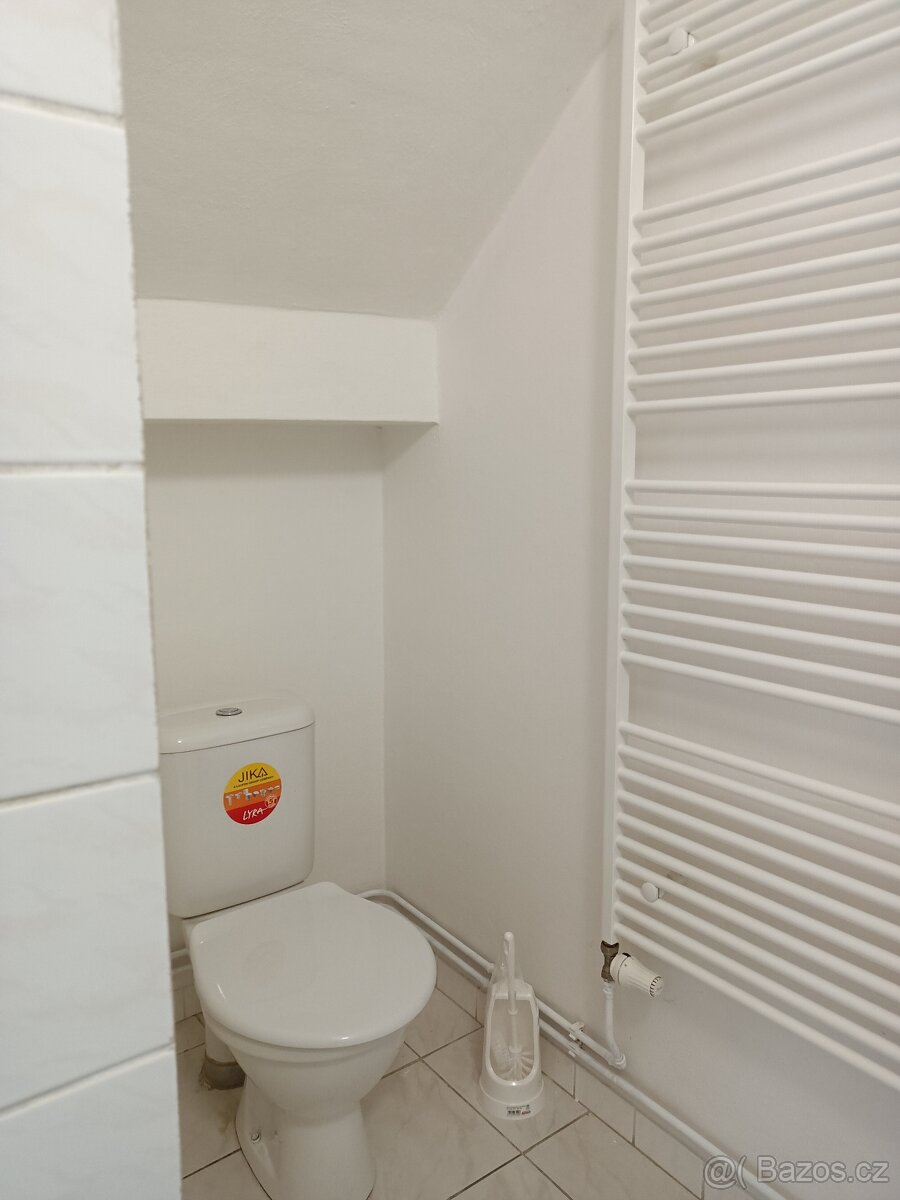 Pronájem velkého bytu 1+kk - 14