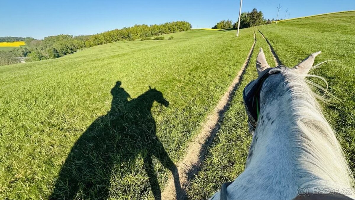 Trekové pastevní ustájení exit34 D1 - 14
