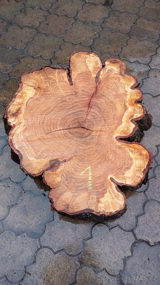 Prodám fošny třešně - 14