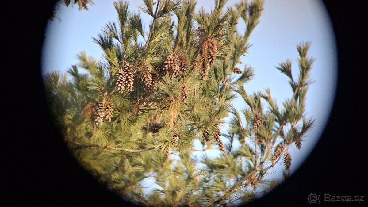 Dalekohled BPC 15X50 Dioptex - 14