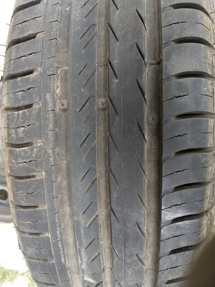 Renault Thalie 2011 - 14