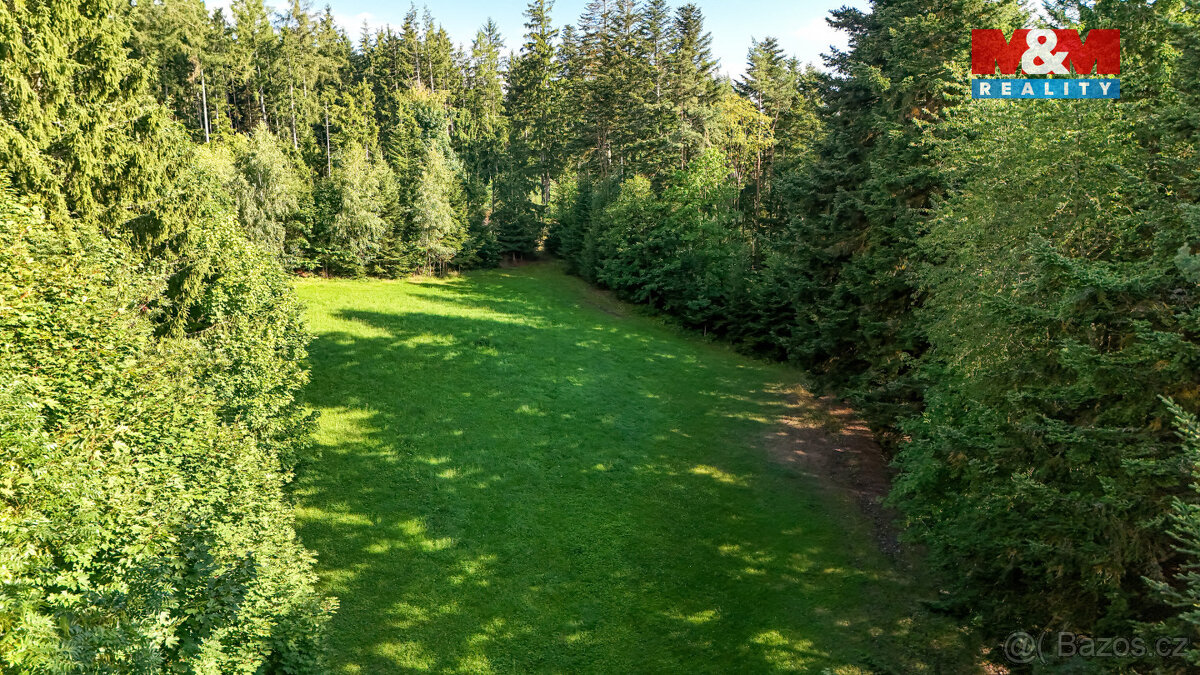 Prodej lesa, 15707 m², Petrovice u Sušice - 14