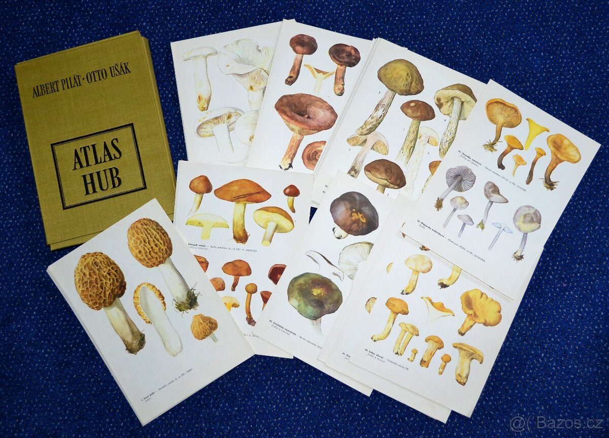 SVATÉ OBRÁZKY - 14