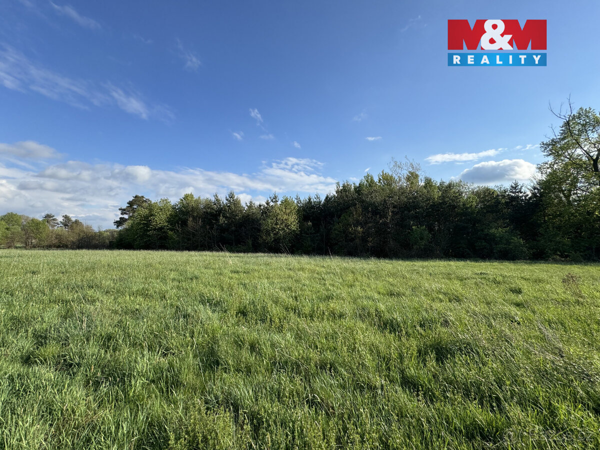 Prodej komerčního pozemku, 10254 m², Homole - 14