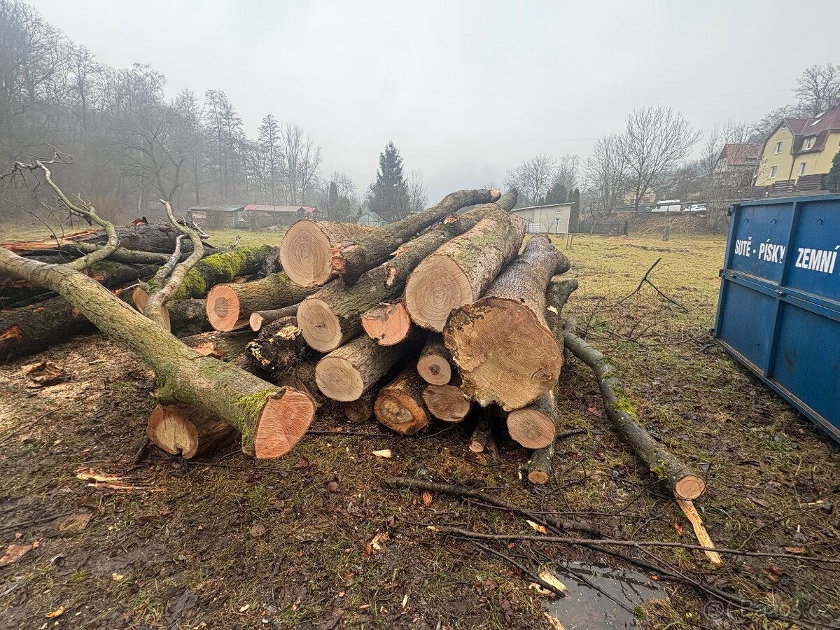 Palivové Dřevo Jasan - 14