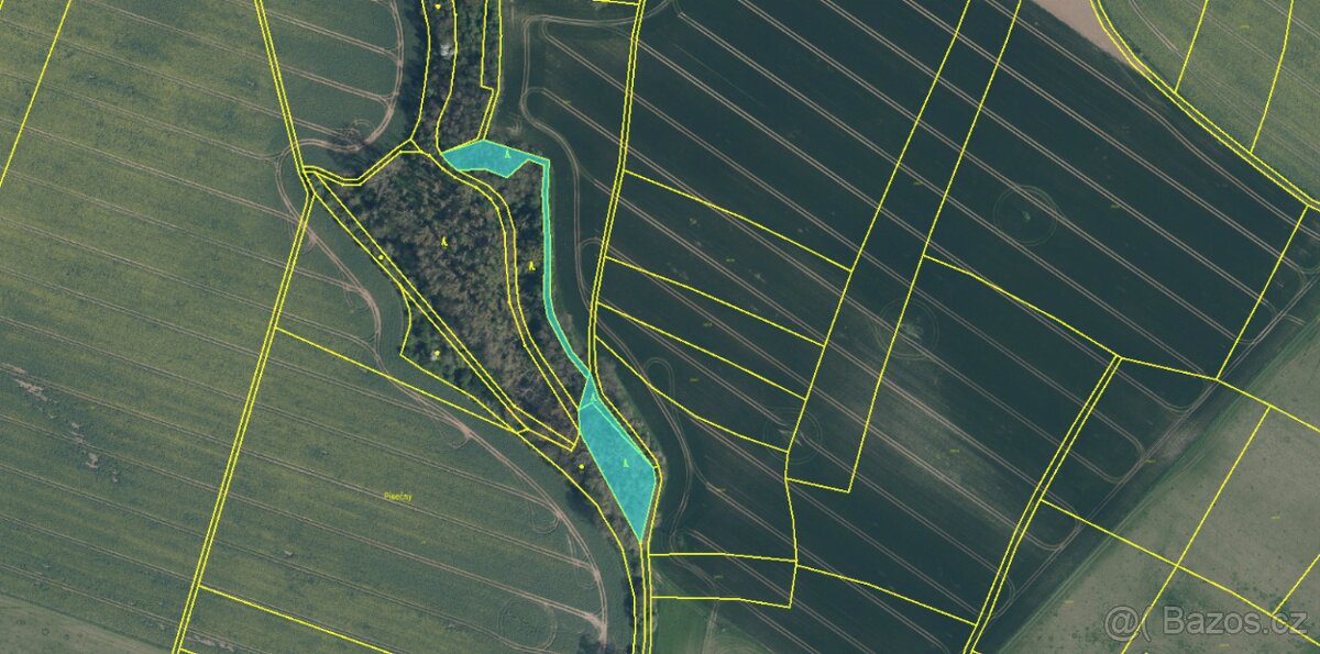 Prodám lesní pozemky v k.ú. Radouň Mělnické Vtelno - 14