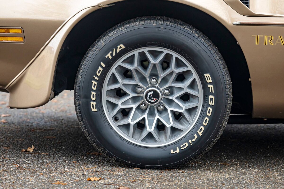 Pontiac Firebird 1977 - 14
