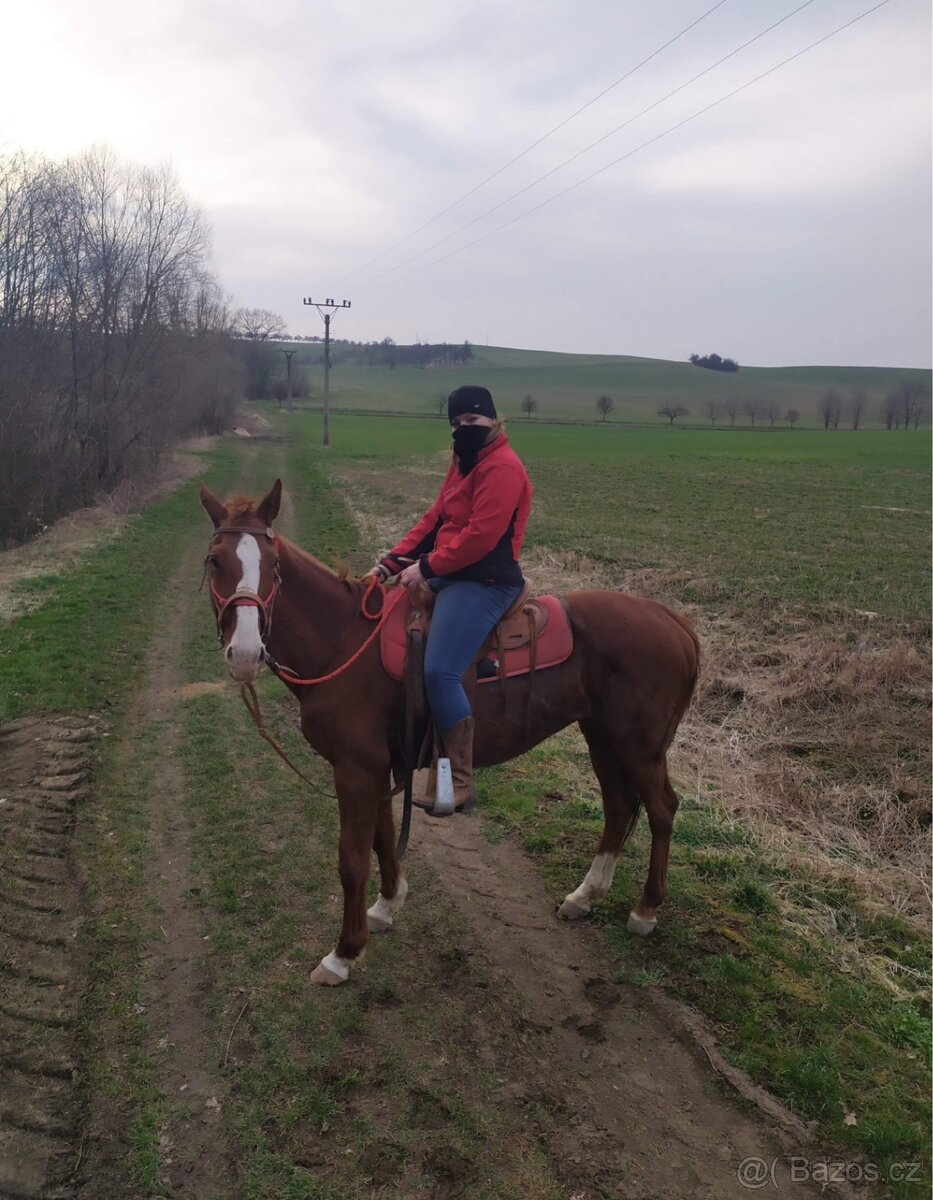 Westernové sedlo - 14