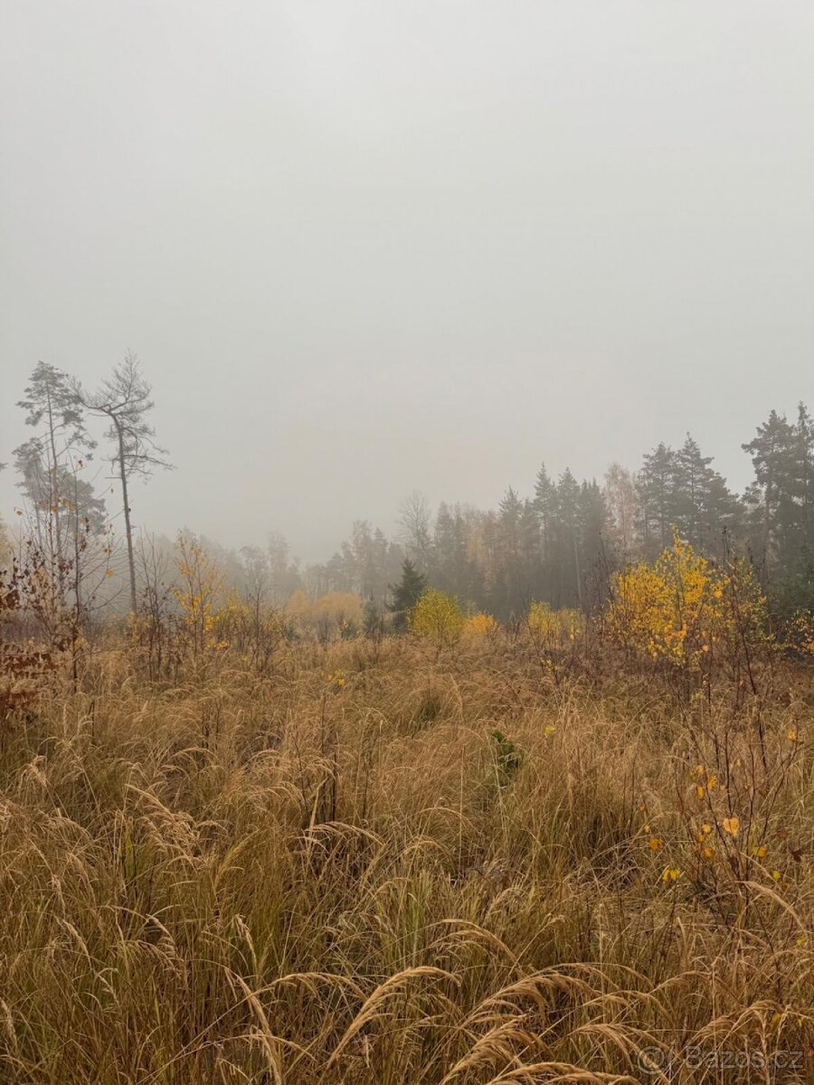 Prodej lesních pozemků k.ú. Úboč - 14
