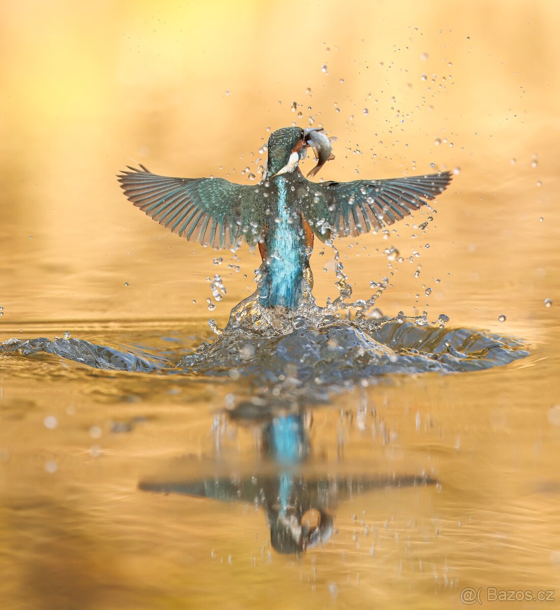 Canon ef 200mm f/2L is usm - 14