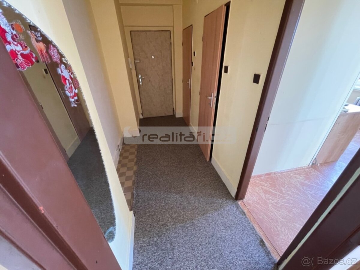 Prodej slunného bytu 2+1 s balkonem s krásným výhledem, Plze - 14