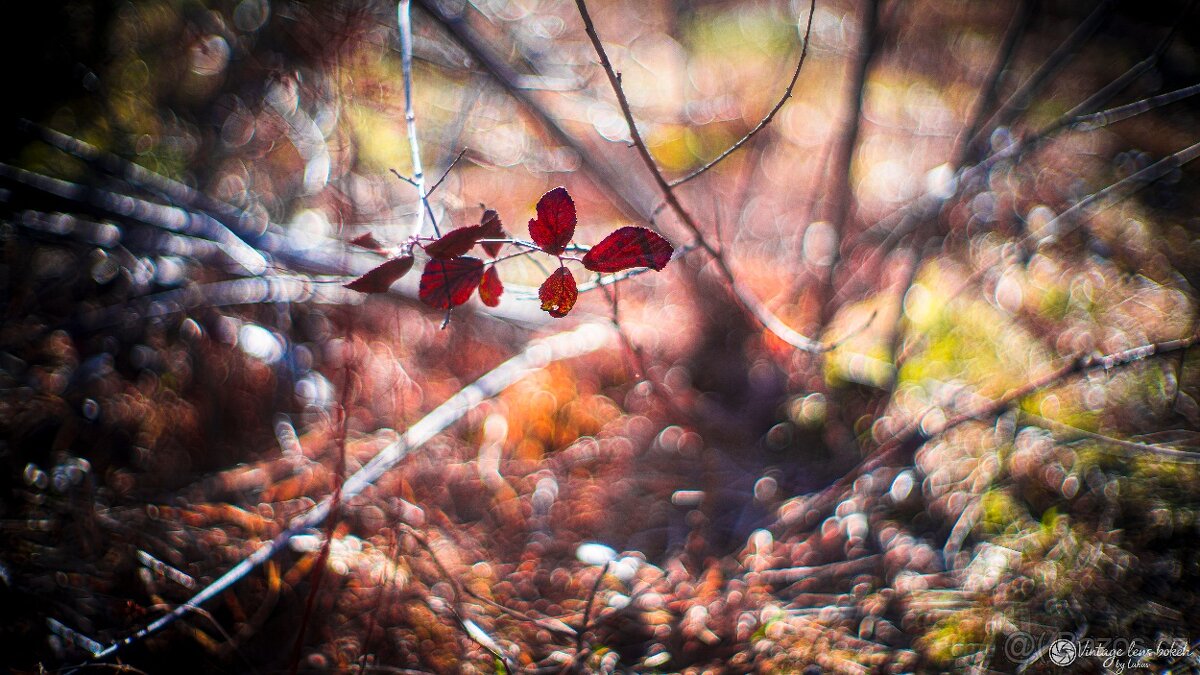 Meopta Meostigmat 50/1 adaptace pro Sony E-mount - 14