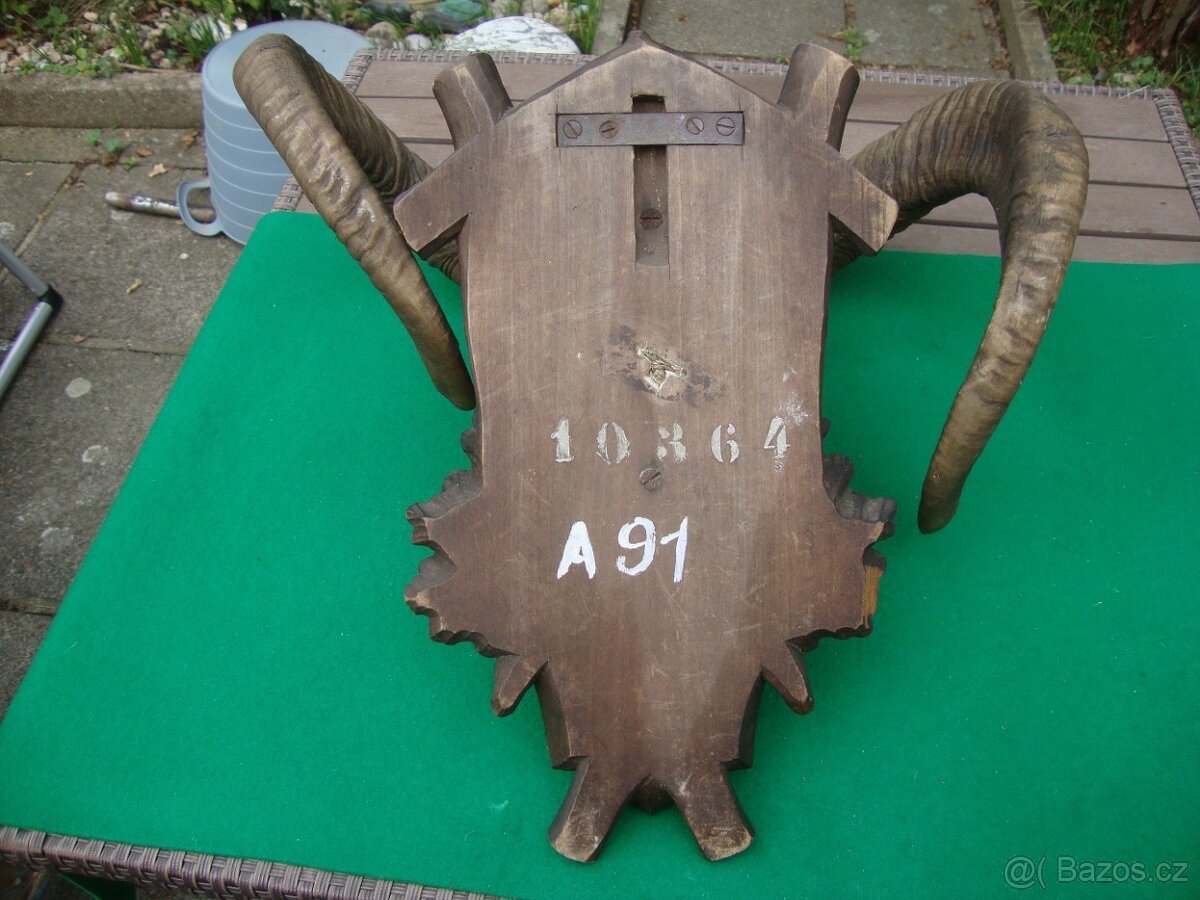 Starožitná Mufloní trofej Muflon 1912 medailové rozměry top - 14