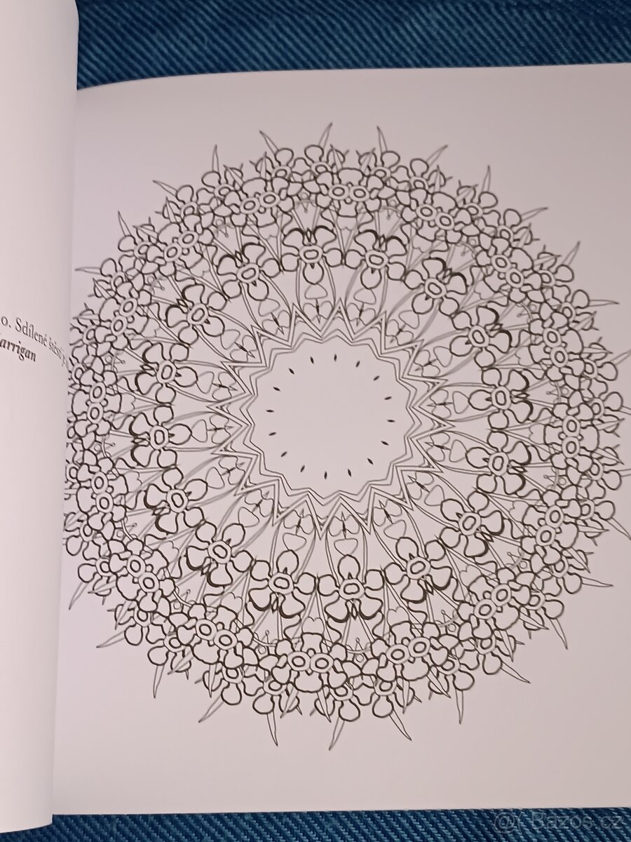 Omalovánky pro dospělé: Inspirativní a ............. - 14