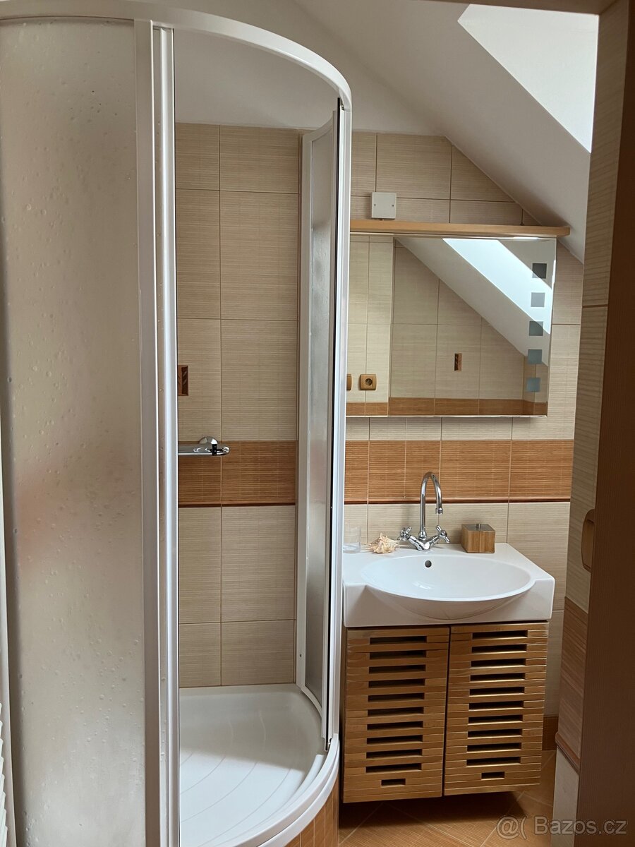Pronájem bytu v centrum Českých Budějovic - 14