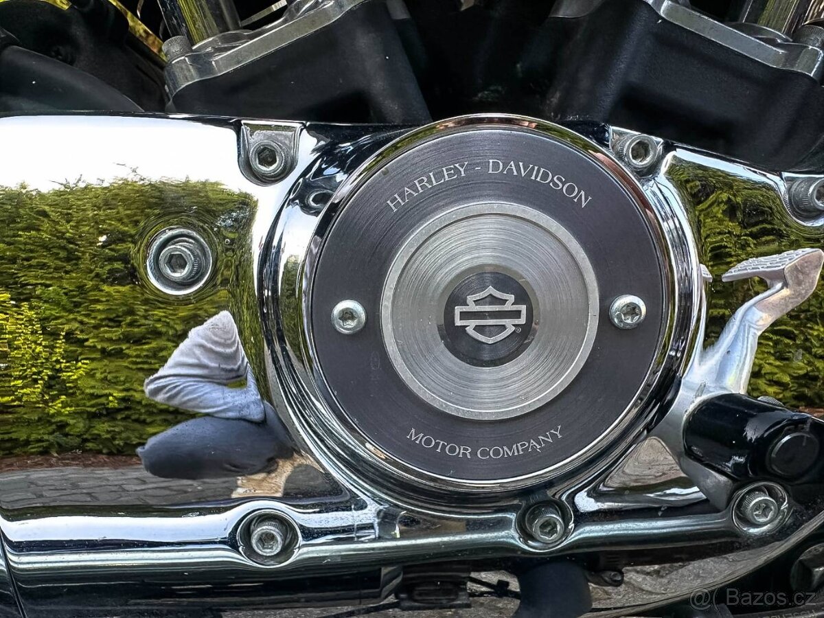 Harley Davidson XL 1200C - 14