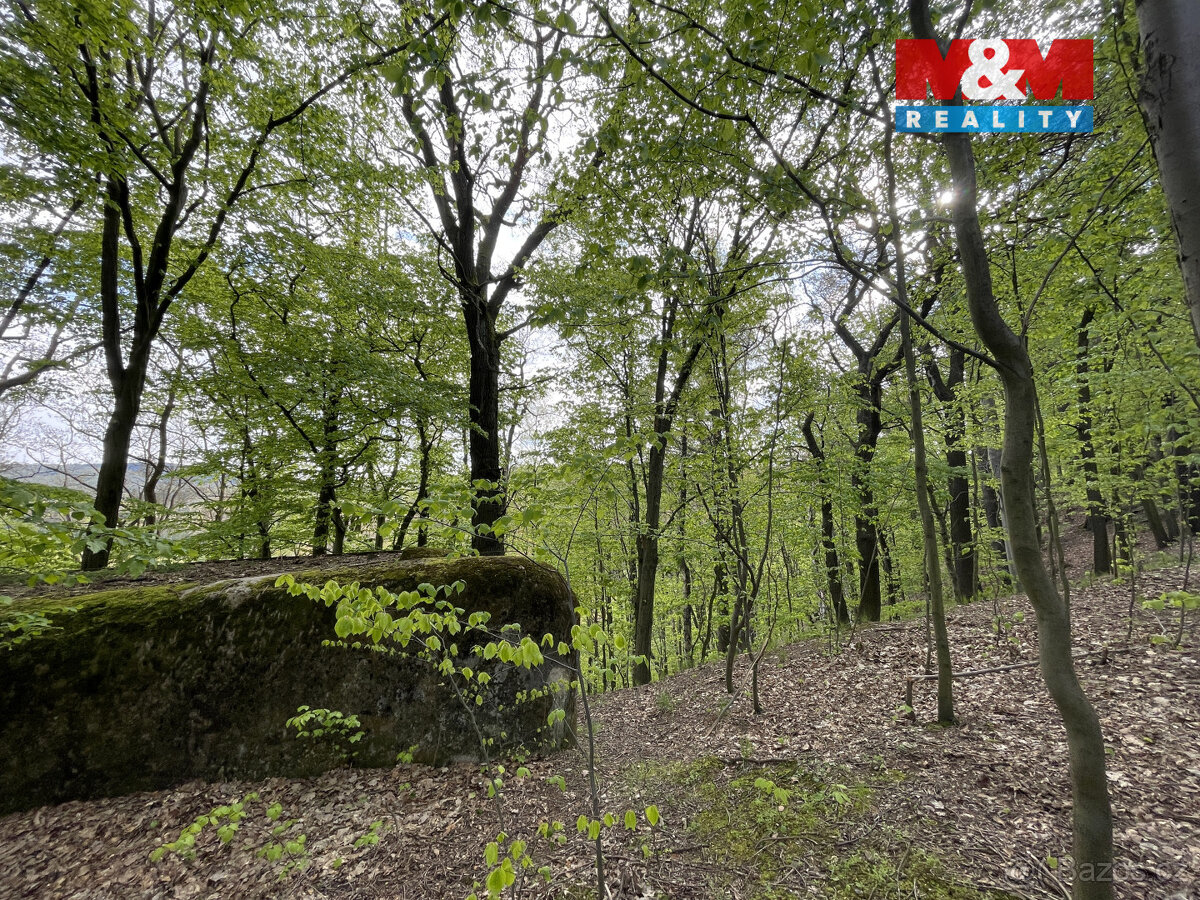 Prodej zahrady, 2545 m², Chrastava, Andělská Hora - 14