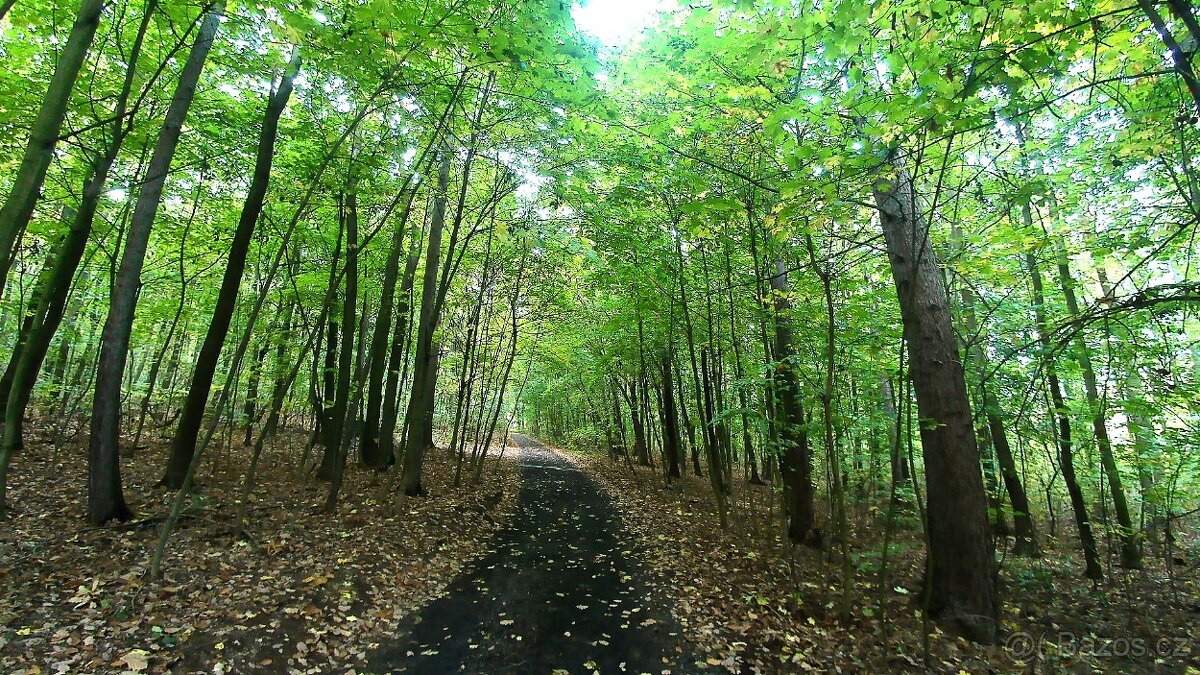 Prodej pozemku – zahrada_ atraktivní místo s výhledem_Dubí - 14