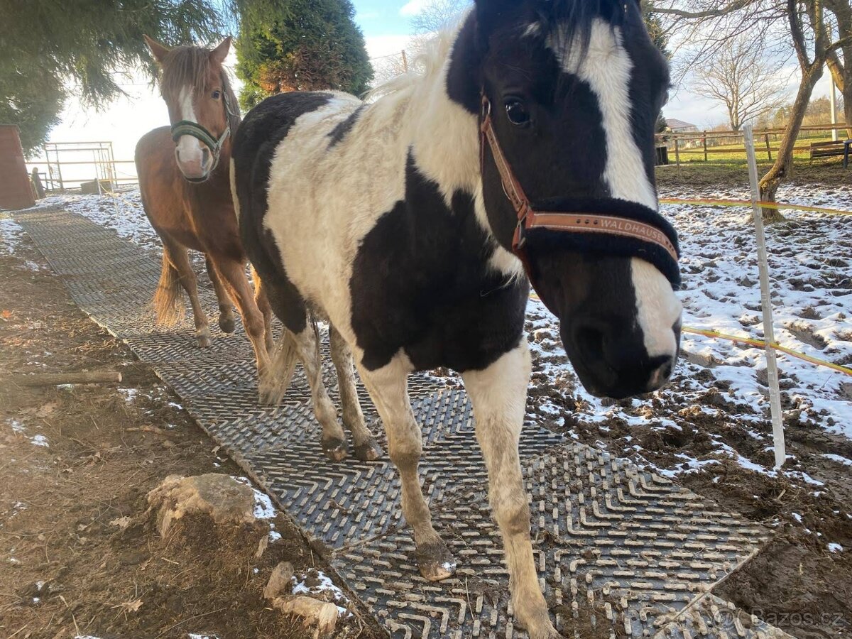 Stájové rohože, do boxů pro koně - sleva 7% - 14