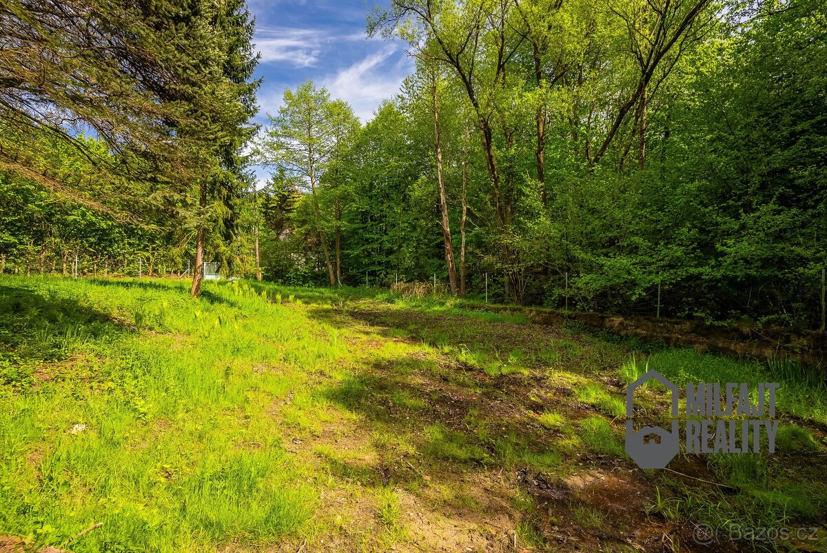 Prodej zemědělské usedlosti, 235 m² - Nové Město pod Smrkem - 14