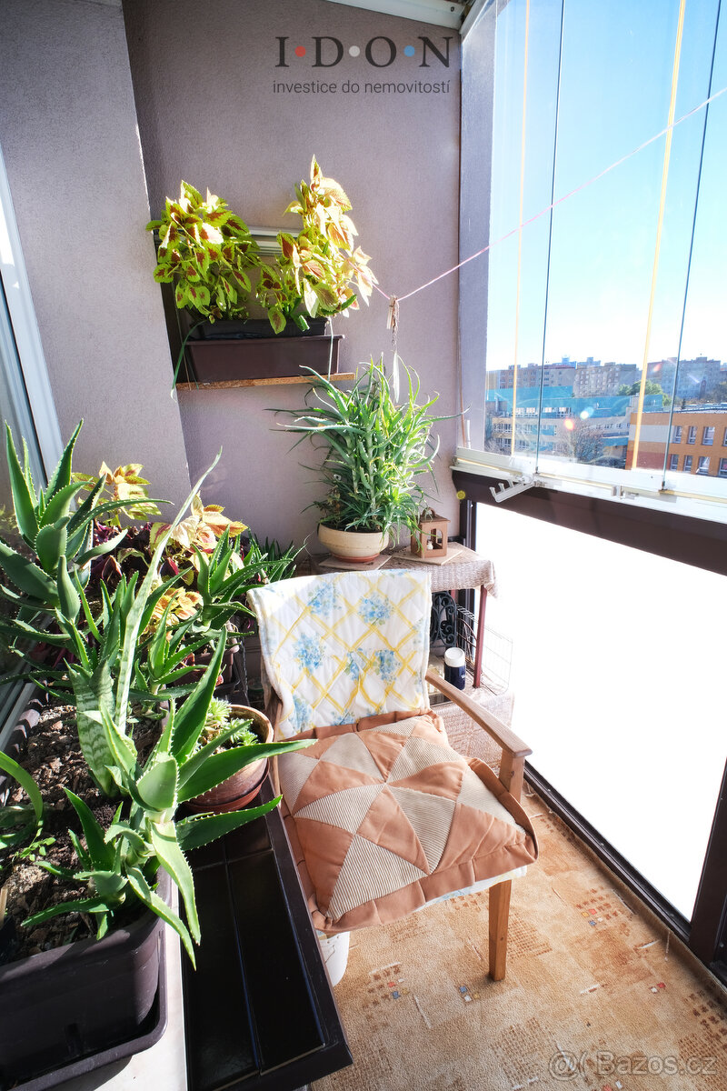 3+1, 70m2, lodžie, osobní vlastnictví, ul. Bedřicha Václavka - 14