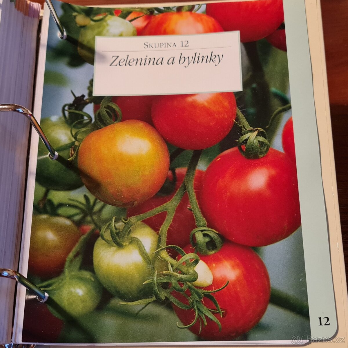 ZAHRADA PRO RADOST - 14