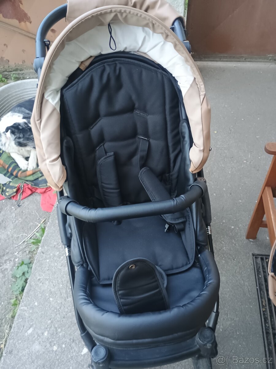 Tudore Trapper, korby Ranger - 14