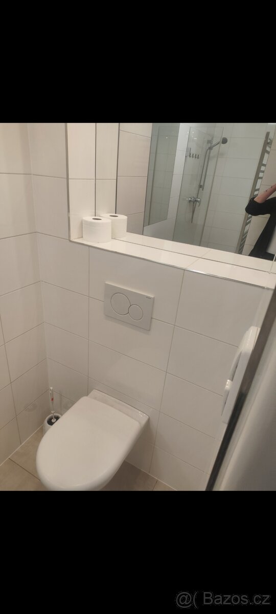Pronájem bytu 3+kk - 14
