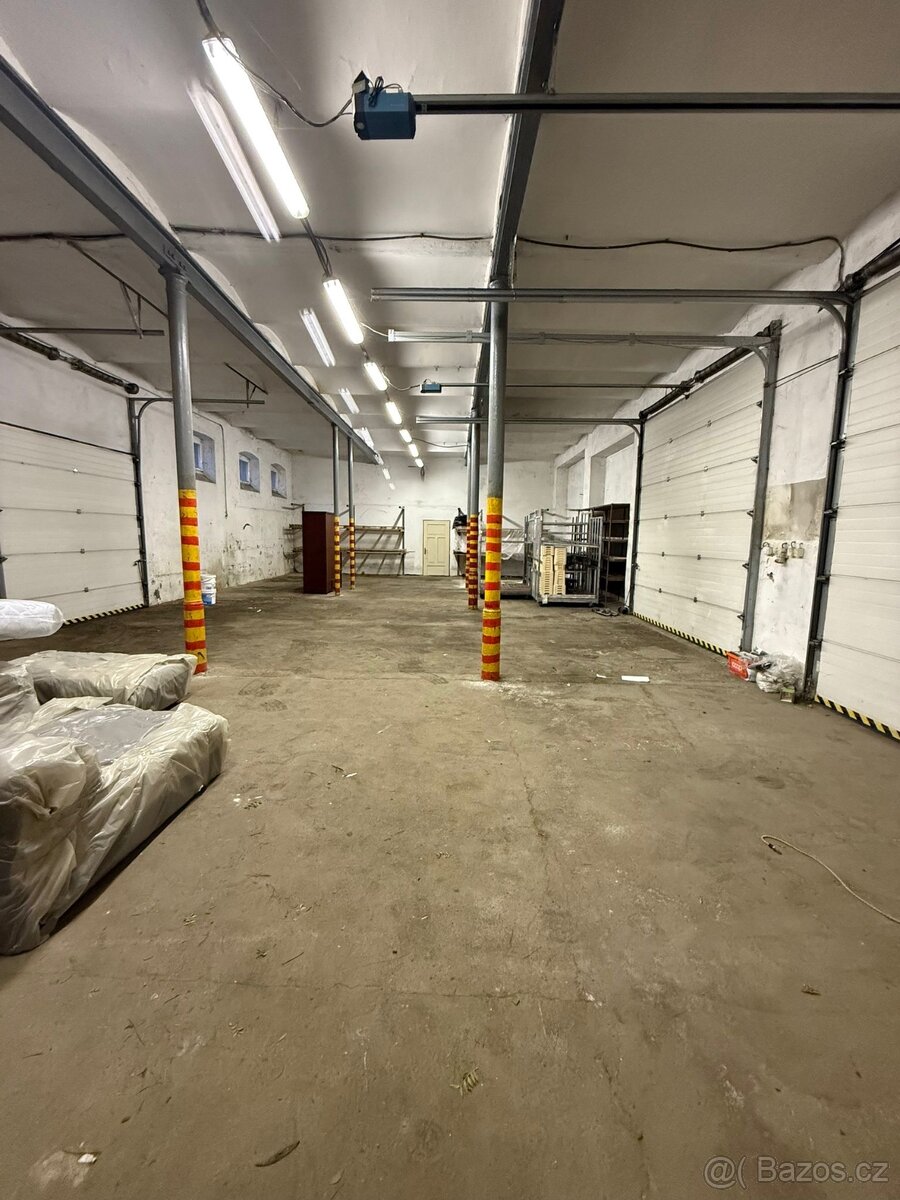 Bzenec-prostory k pronájmu - 14
