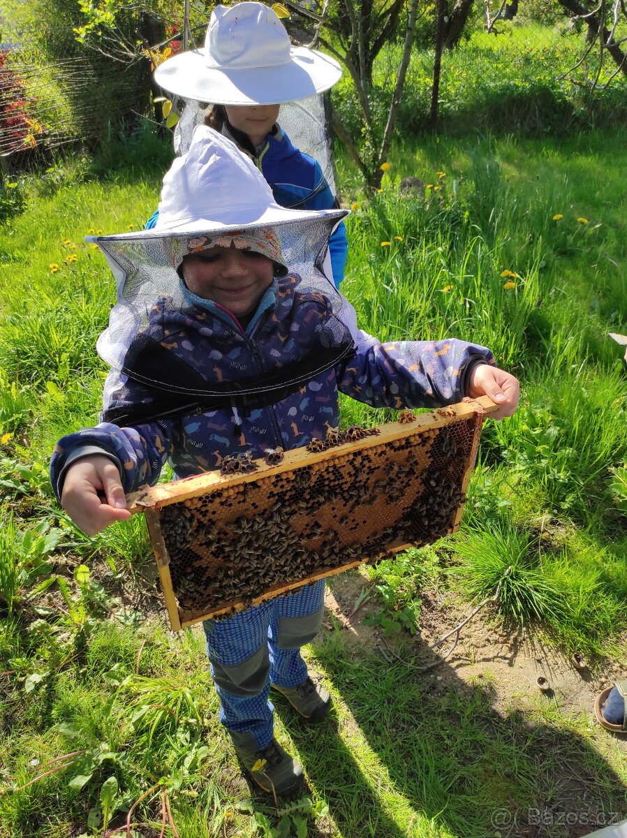 Včelí med květový,lesní,květový ,pastovaný - 14