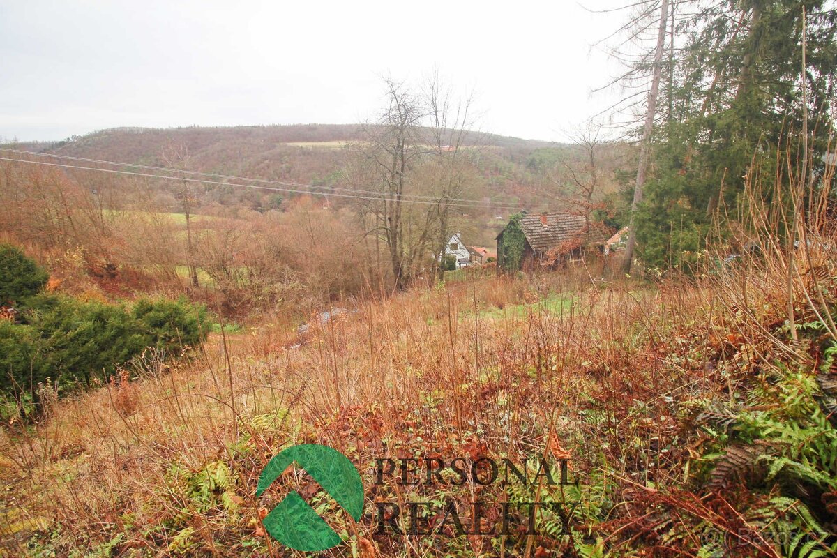 Prodej, chata, 893m2, Čilá, ev.č. 01915 - 14