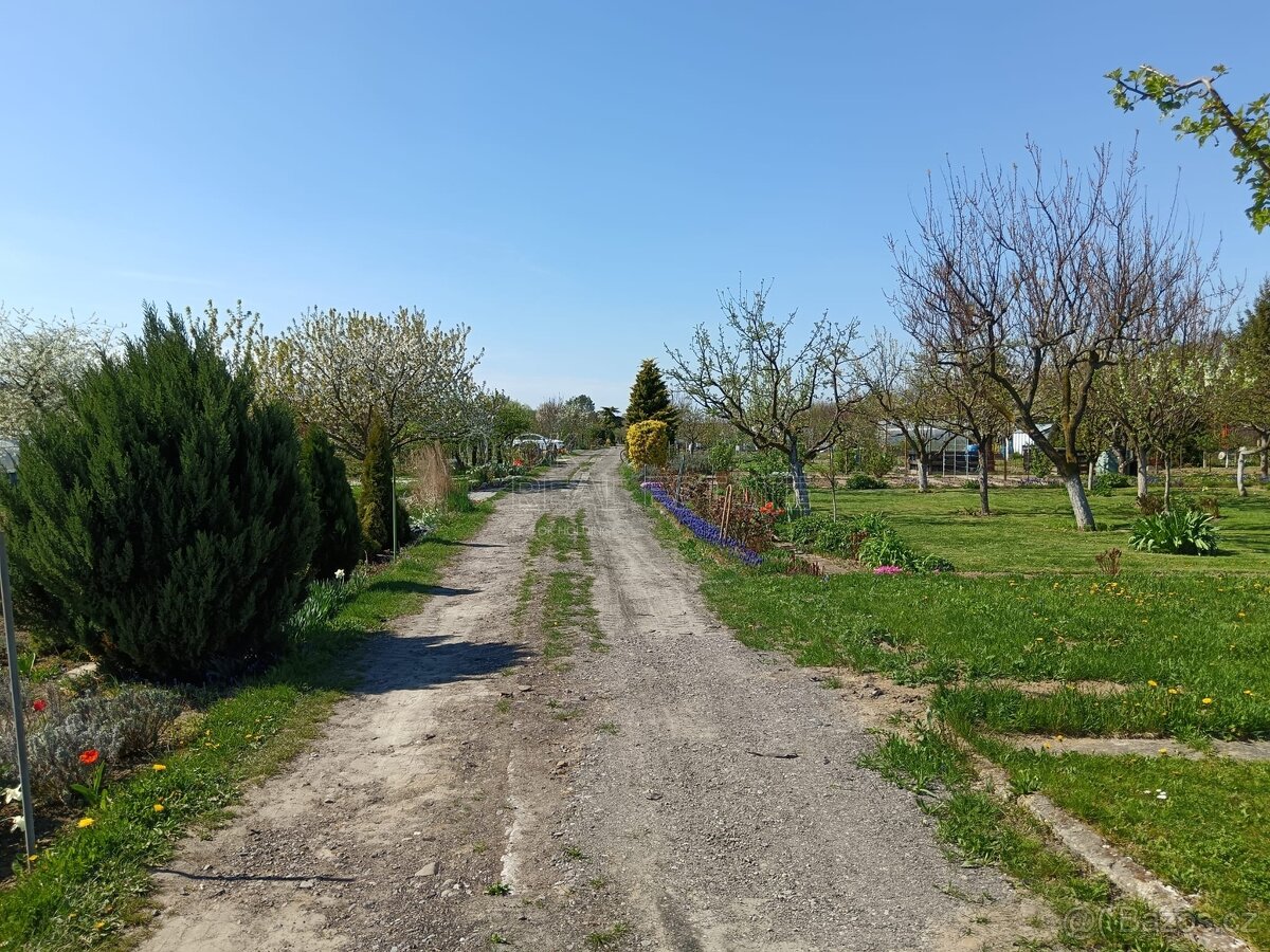 Zahrada s chatou, Otrokovice - 14
