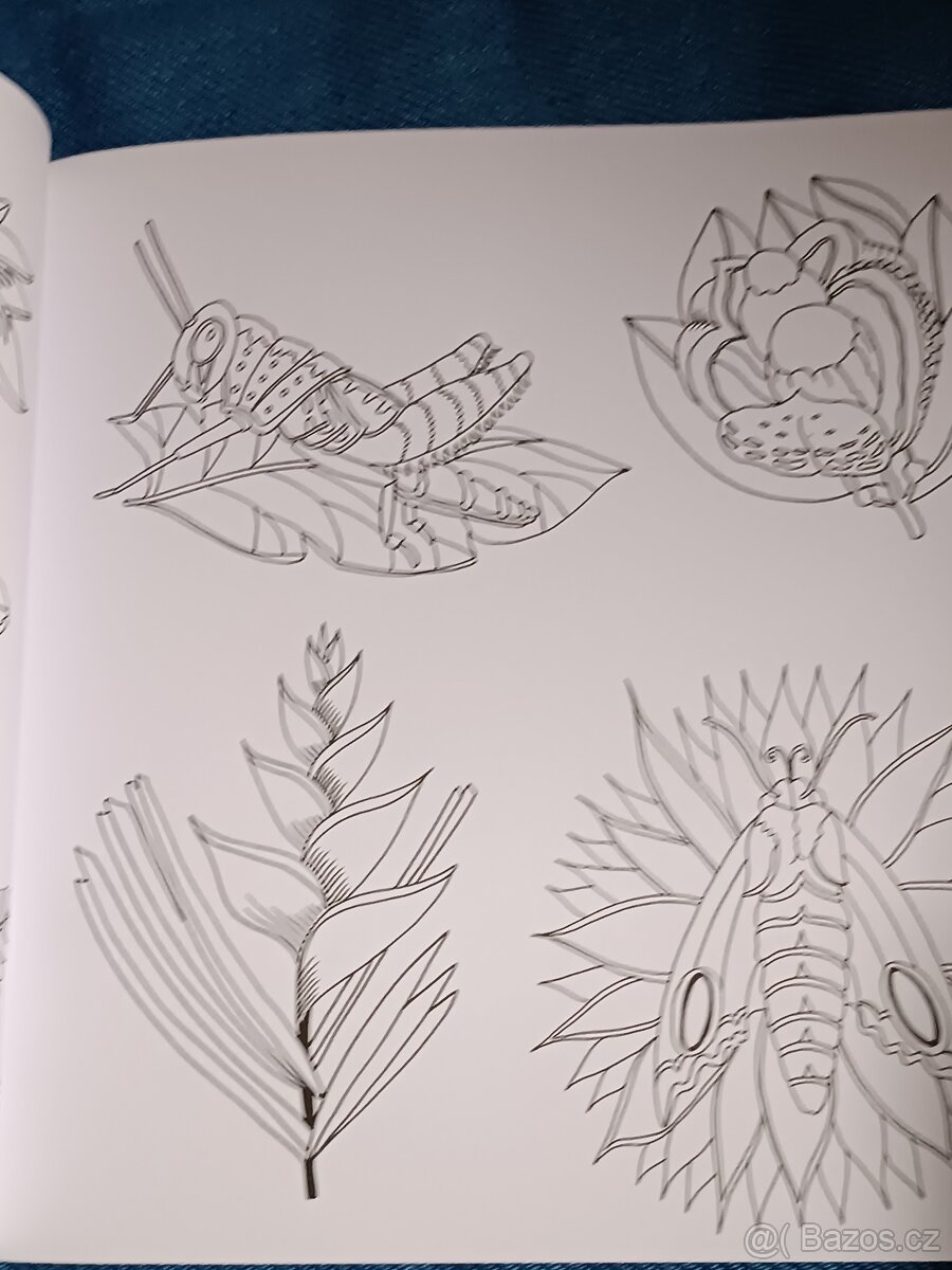 Omalovánky pro dospělé Exotický prales - 14