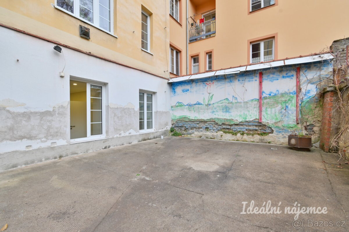 Prodej bytu 2+kk, Čápkova, 33 m2 - 14