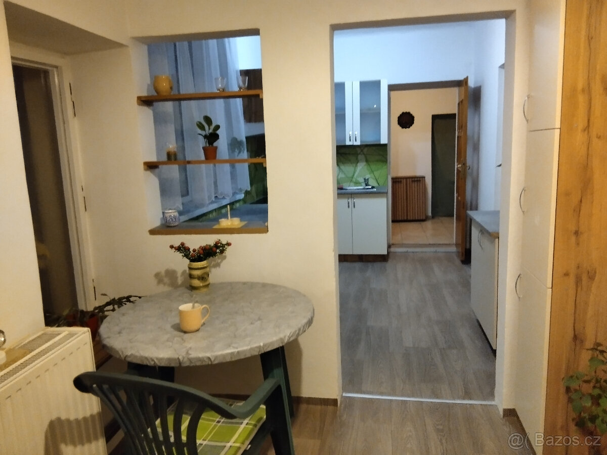 Dům se zahradou ve Vodňanech - 14